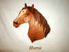 horse.jpg (51899 bytes)