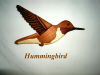 hummingbird.jpg (58996 bytes)