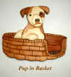Pup in Basket.jpg (76323 bytes)