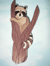 raccoon.jpg (74913 bytes)
